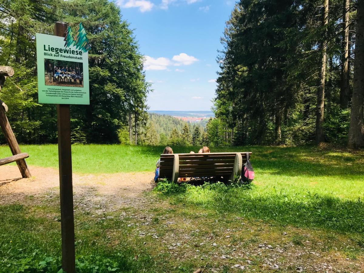 Haus Jenni Im Schwarzwald, 3,5-Zimmer, Grosse Terrasse フロイデンシュタット エクステリア 写真