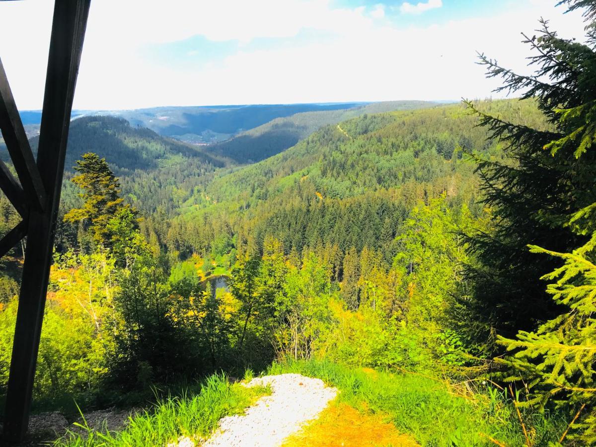 Haus Jenni Im Schwarzwald, 3,5-Zimmer, Grosse Terrasse フロイデンシュタット エクステリア 写真
