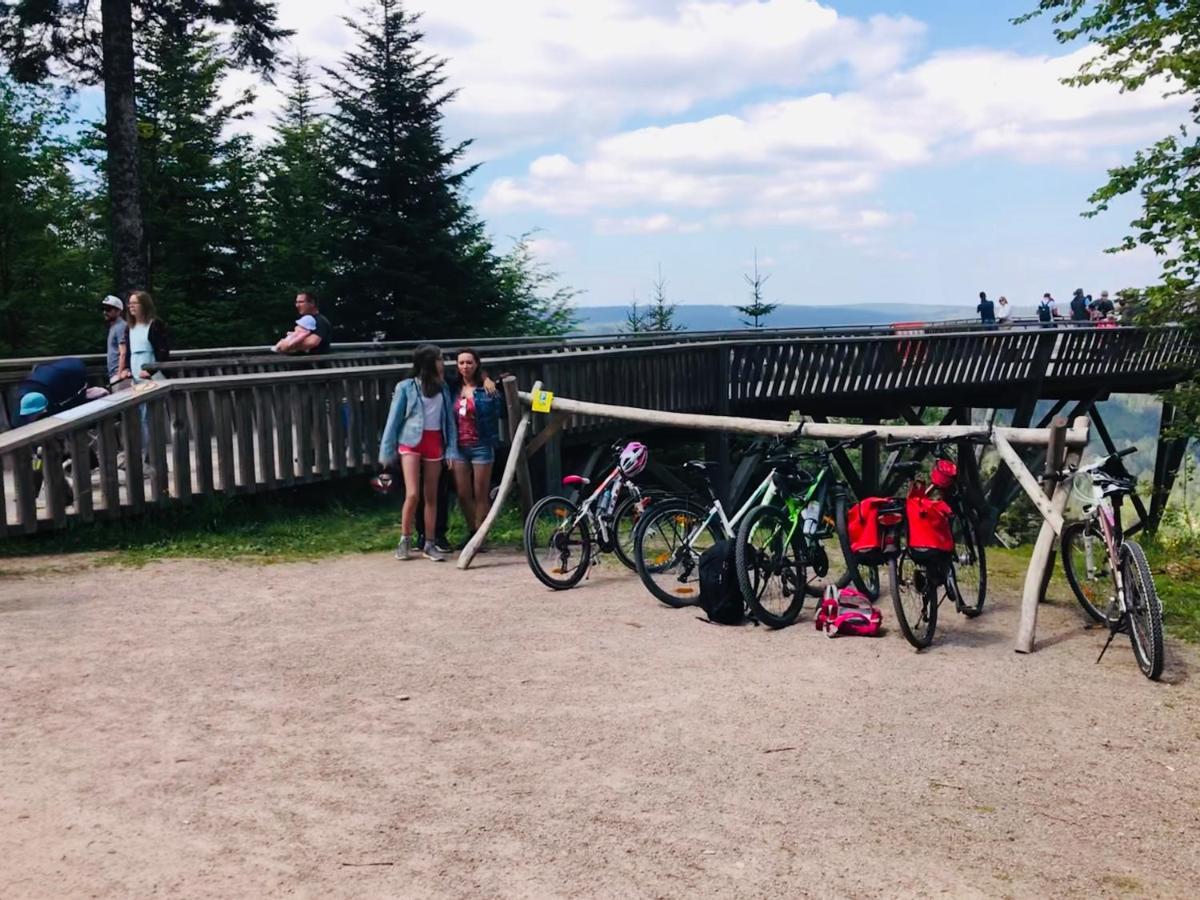 Haus Jenni Im Schwarzwald, 3,5-Zimmer, Grosse Terrasse フロイデンシュタット エクステリア 写真