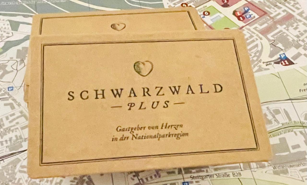 Haus Jenni Im Schwarzwald, 3,5-Zimmer, Grosse Terrasse フロイデンシュタット エクステリア 写真