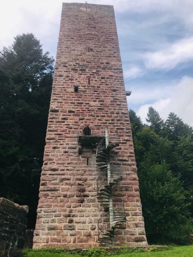 Haus Jenni Im Schwarzwald, 3,5-Zimmer, Grosse Terrasse フロイデンシュタット エクステリア 写真